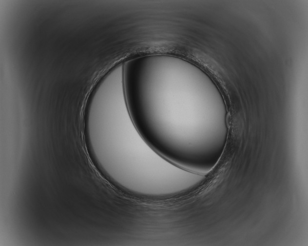 X0000098050673200803280731
