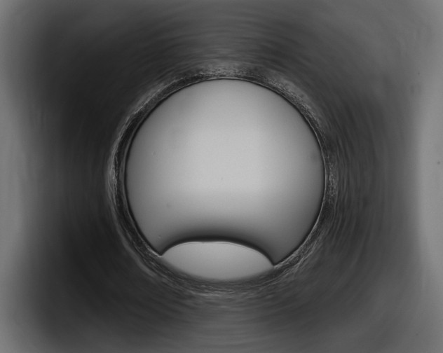 X0000098050674200803280731