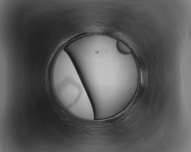 X0000098050675200803280731