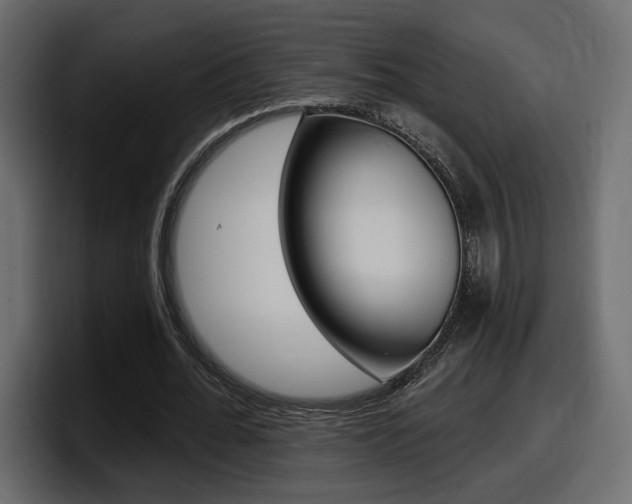 X0000098050676200803280731