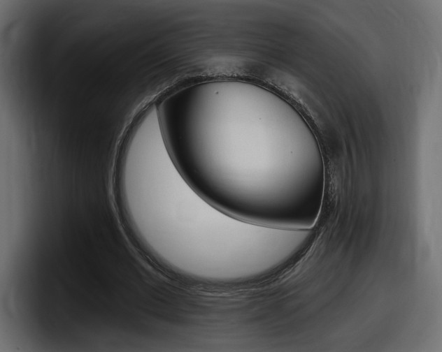 X0000098050677200803280731