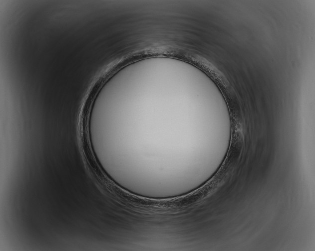 X0000098050678200803280731