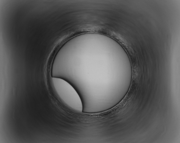 X0000098050679200803280731