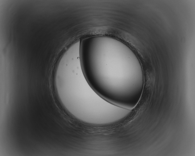 X0000098050681200803280731