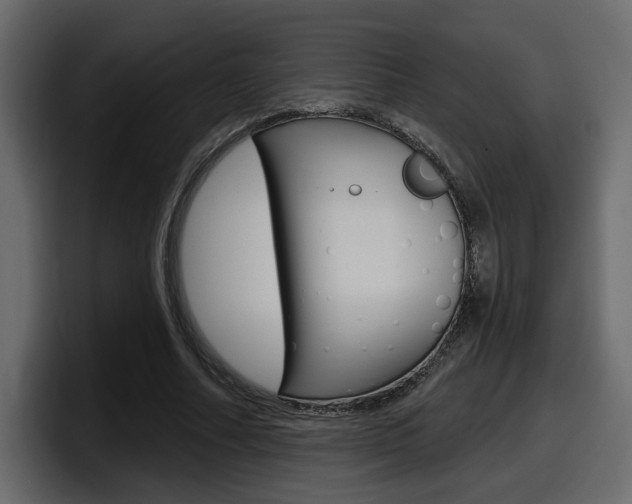 X0000098050682200803280731