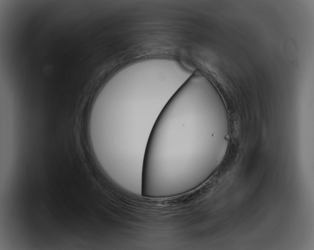 X0000098050687200803280731