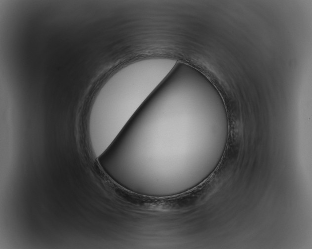 X0000098050688200803280731
