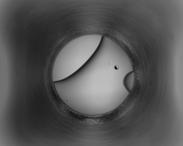 X0000098050690200803280731