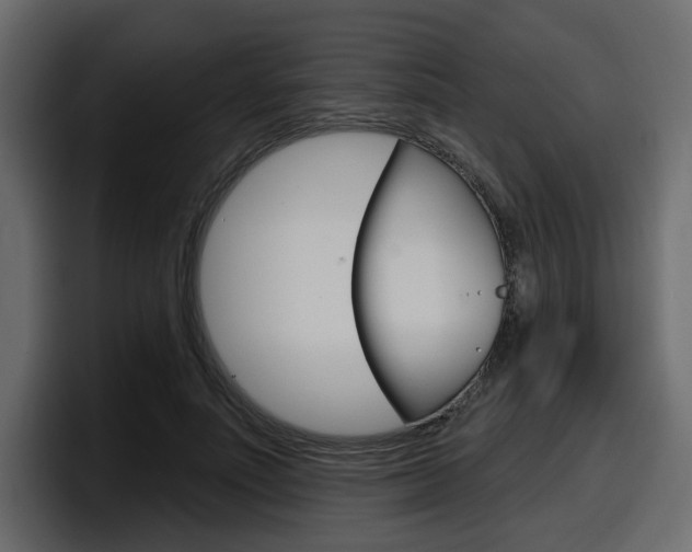 X0000098050691200803280730