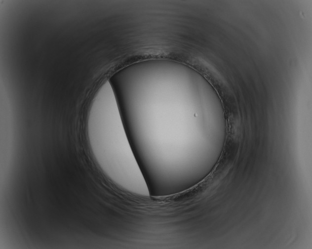 X0000098050692200803280730