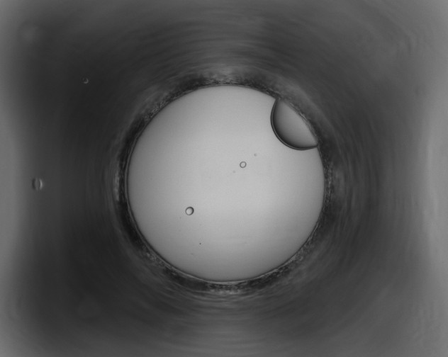X0000098050694200803280730