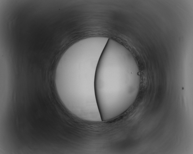 X0000098050695200803280730