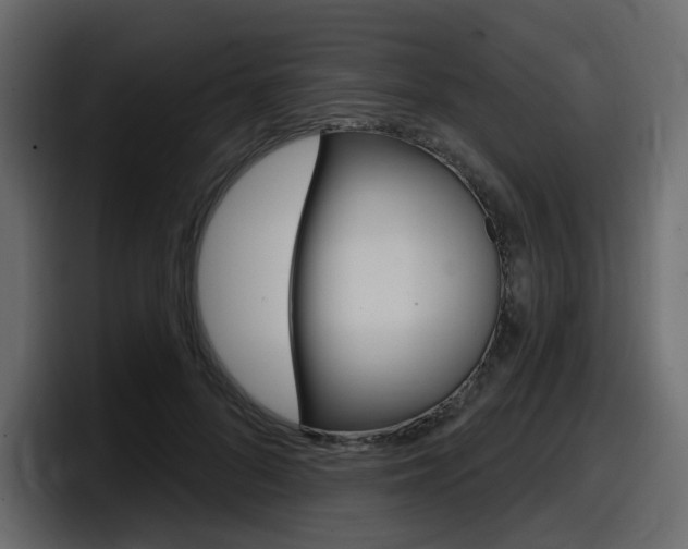 X0000098050696200803280730
