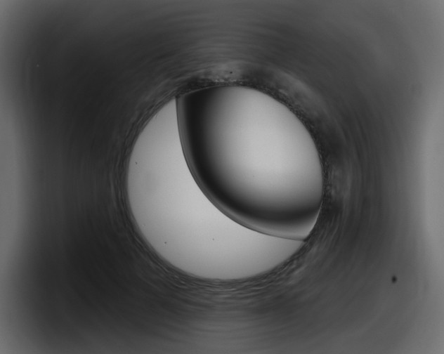X0000098050697200803280730