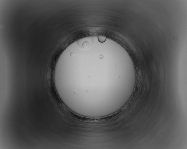X0000098050698200803280730