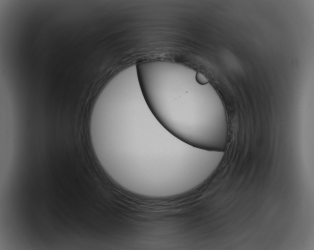 X0000098050699200803280730