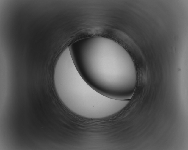X0000098050700200803280730