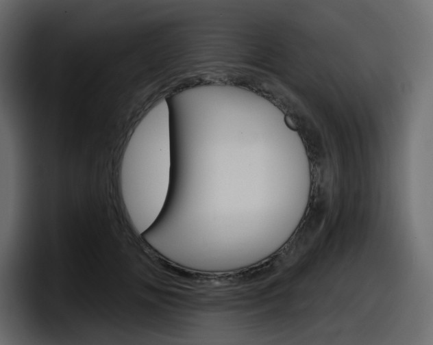 X0000098050702200803280730