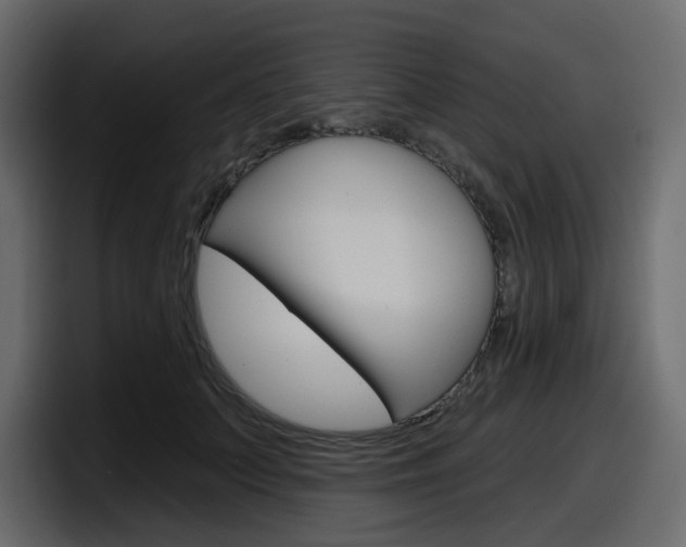 X0000098050703200803280730