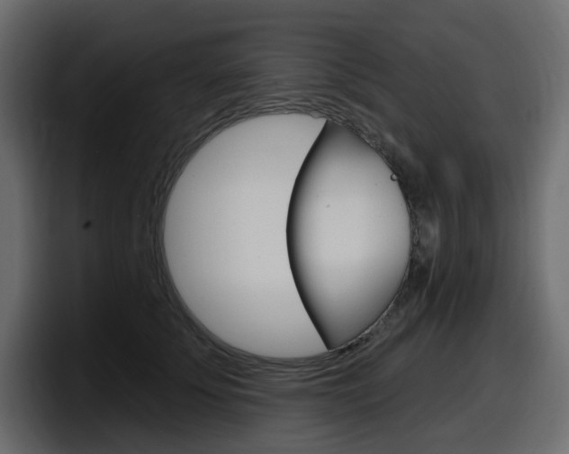 X0000098050707200803280730