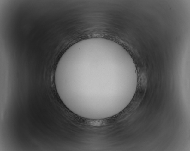 X0000098050709200803280730