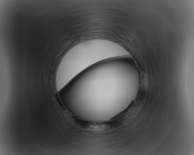 X0000098050712200803280730