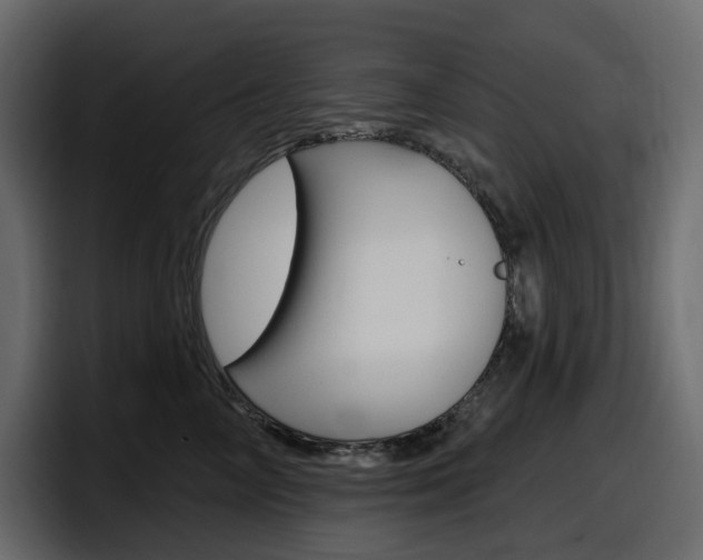 X0000098050714200803280730