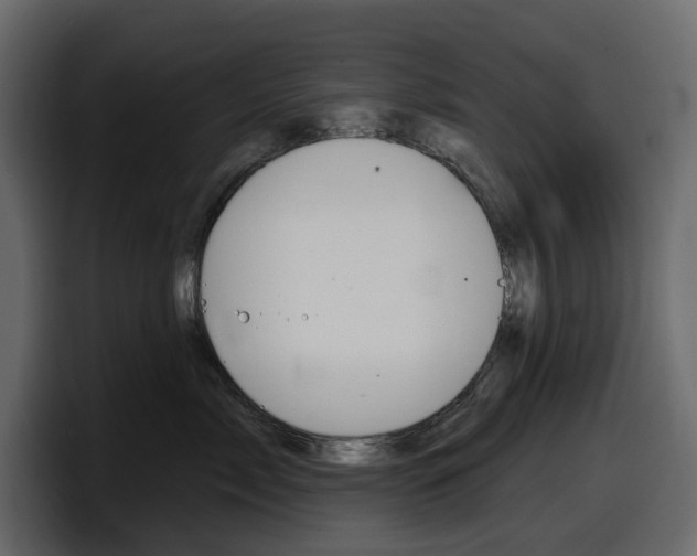 X0000098050717200803280730