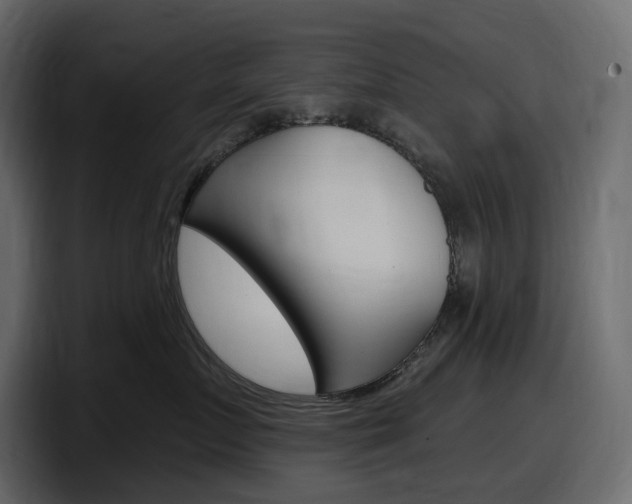 X0000098050719200803280730