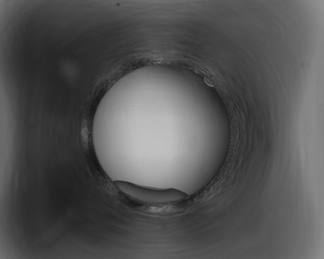 X0000098050720200803280730
