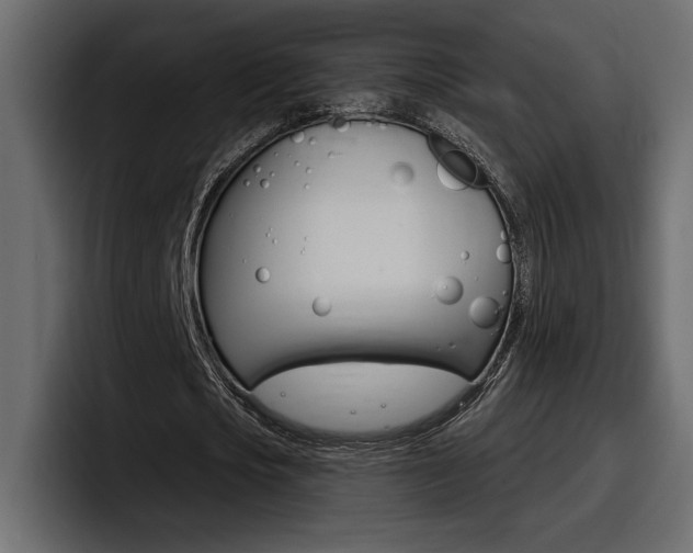X0000098050721200803280729