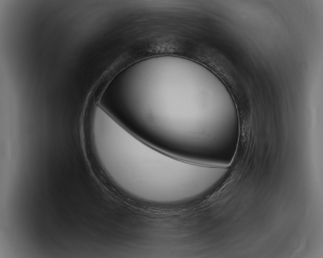 X0000098050722200803280730