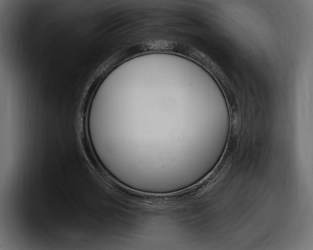 X0000098050725200803280730