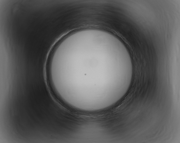 X0000098050726200803280730