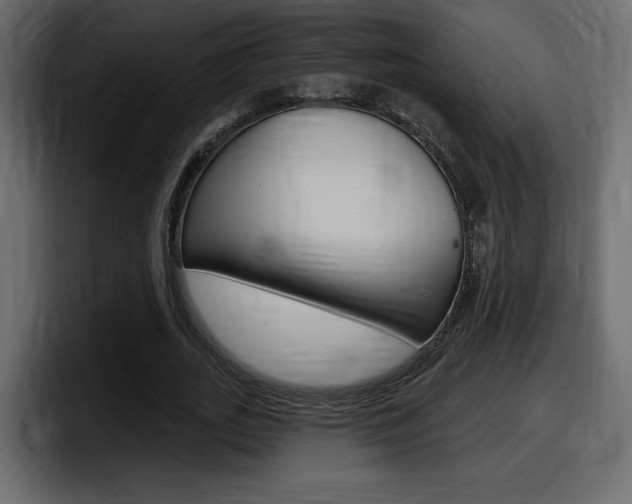 X0000098050727200803280730