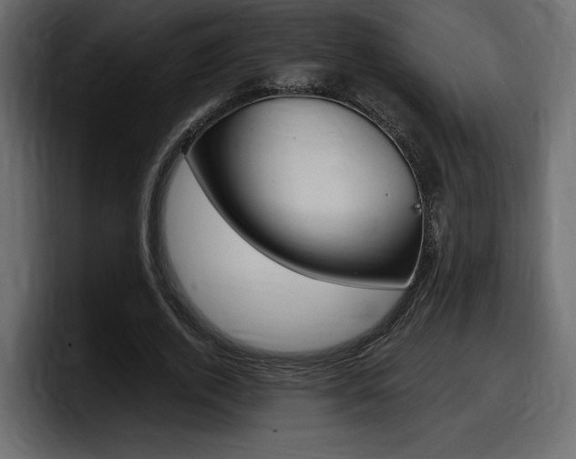 X0000098050728200803280730
