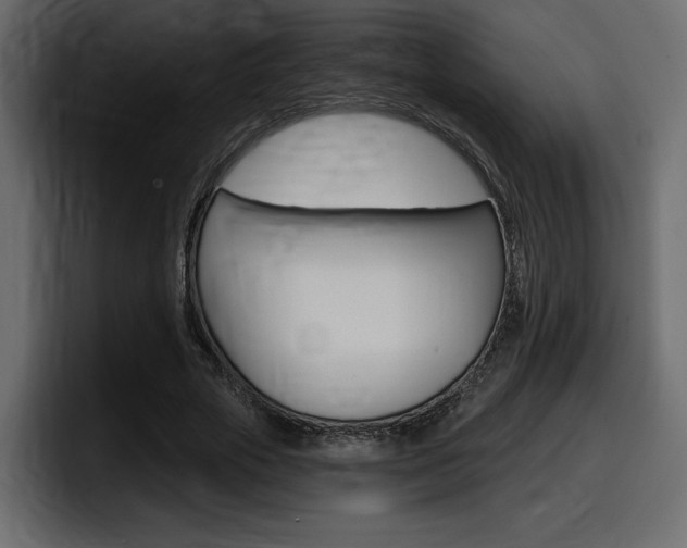 X0000098050729200803280730