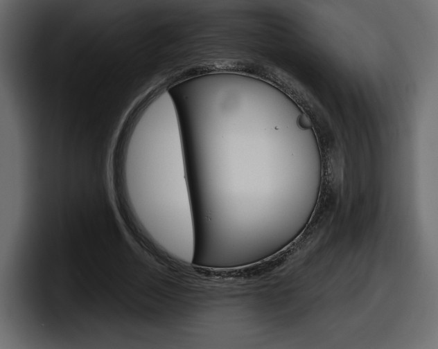 X0000098050730200803280730