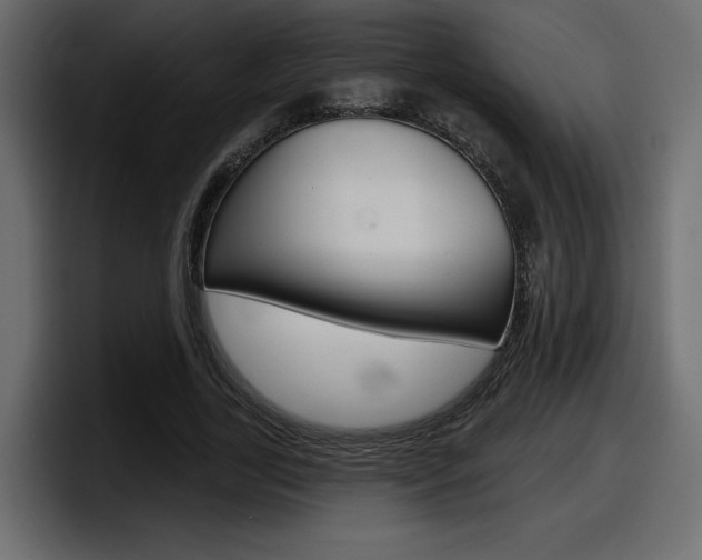 X0000098050731200803280730
