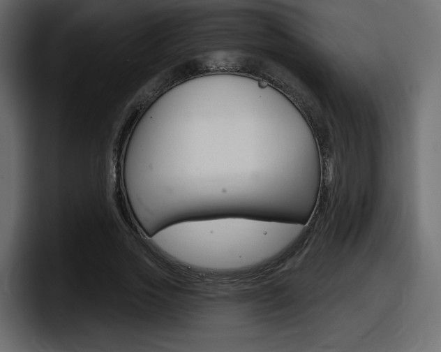 X0000098050733200803280730