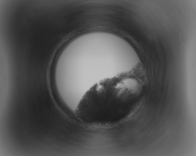 X0000098050734200803280730