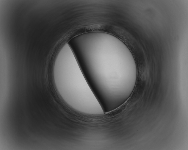 X0000098050735200803280730
