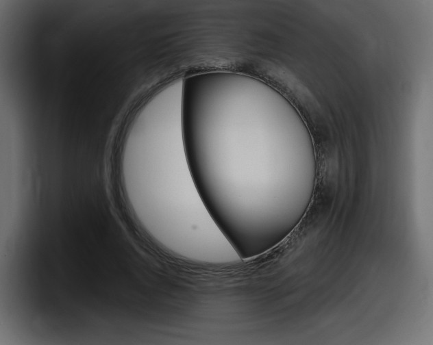 X0000098050736200803280730