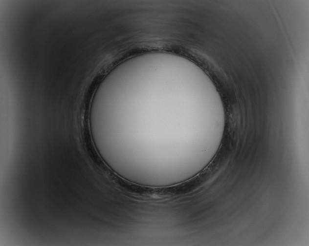 X0000098050739200803280730