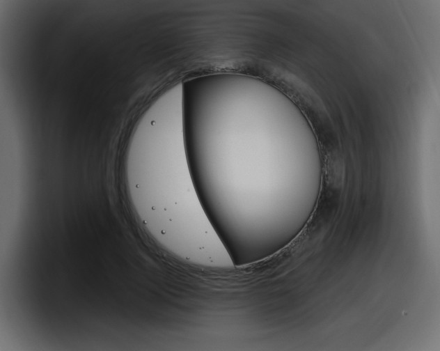 X0000098050740200803280730