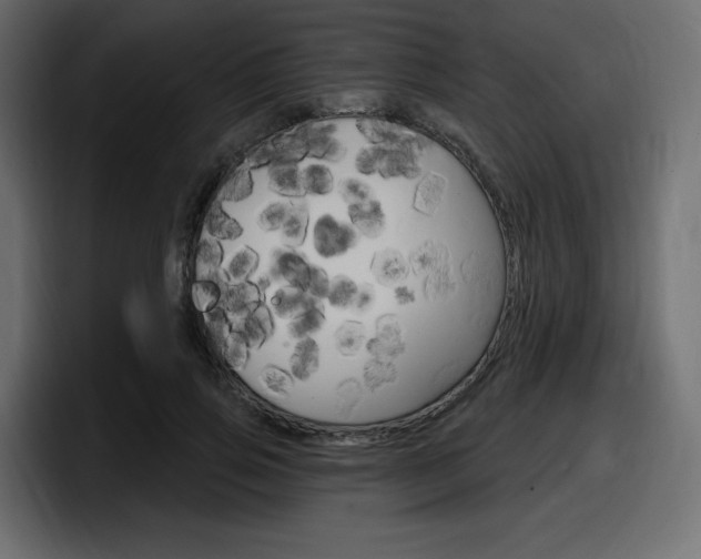 X0000098050741200803280730