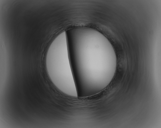 X0000098050743200803280730