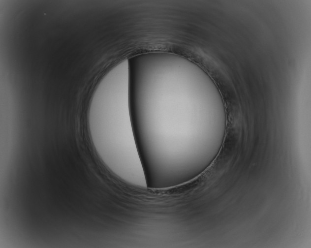 X0000098050744200803280730