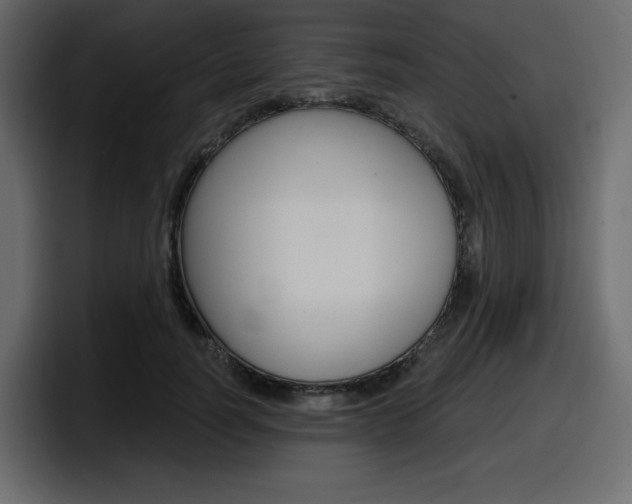 X0000098050746200803280730