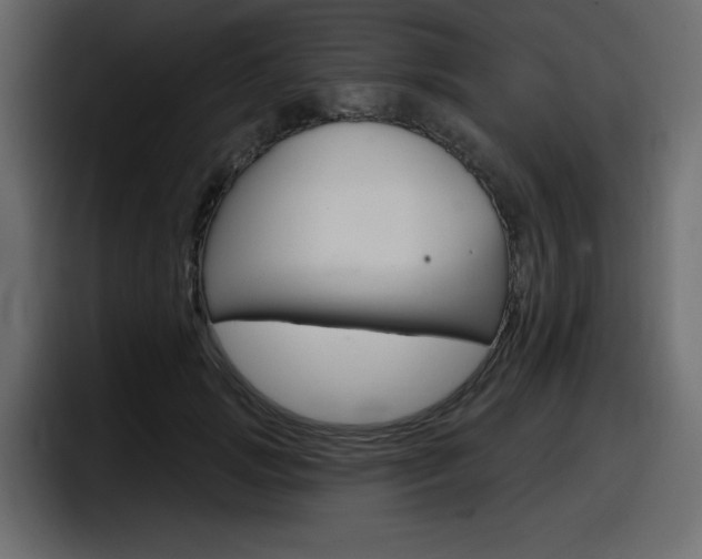 X0000098050749200803280730